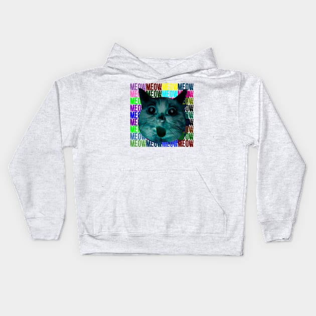 cat rofl meow mem space nature Kids Hoodie by denpoolswag